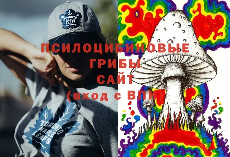 Псилоцибиновые грибы Cubensis  Тайга 